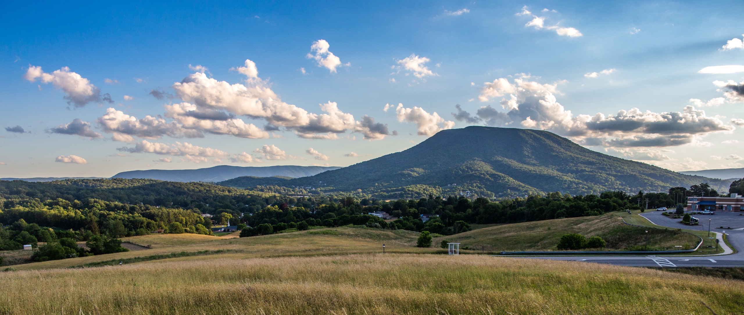 NRV Real Estate is HOT! Lavinder Real Estate