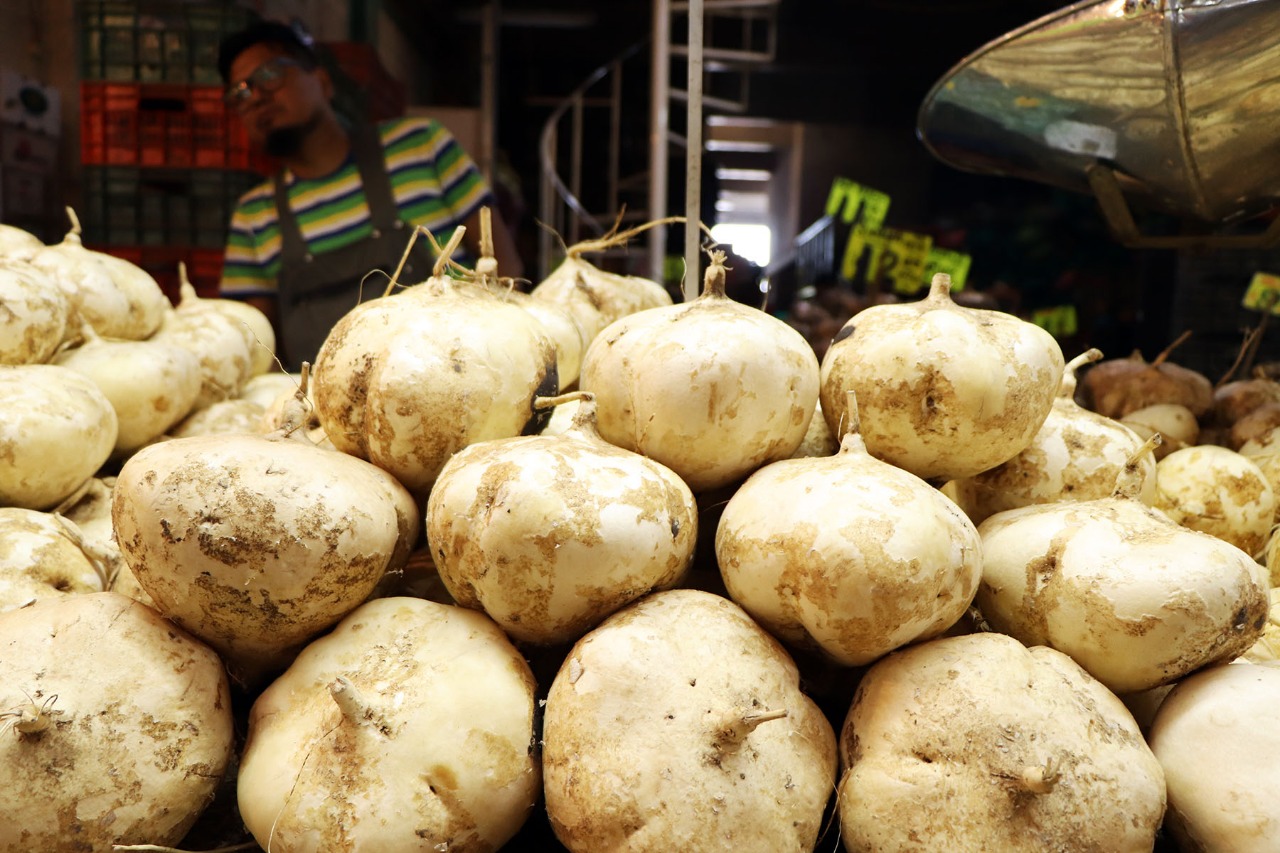 Estas son las propiedades de la jícama que puedes encontrar en la CEDA
