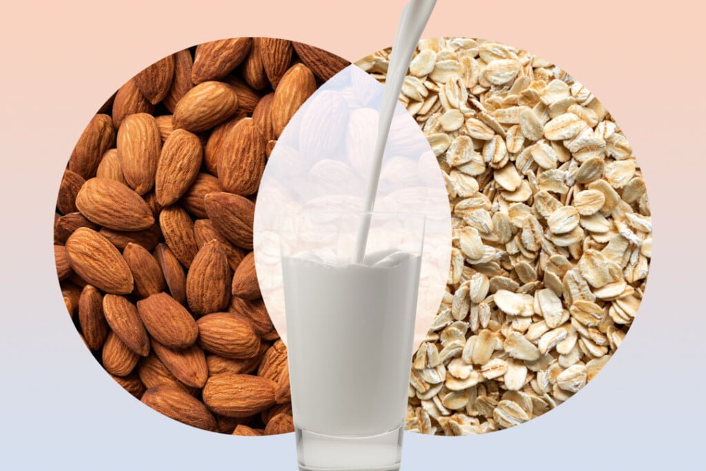 The Complete Guide to Oat Milk vs Almond Milk LAVYON