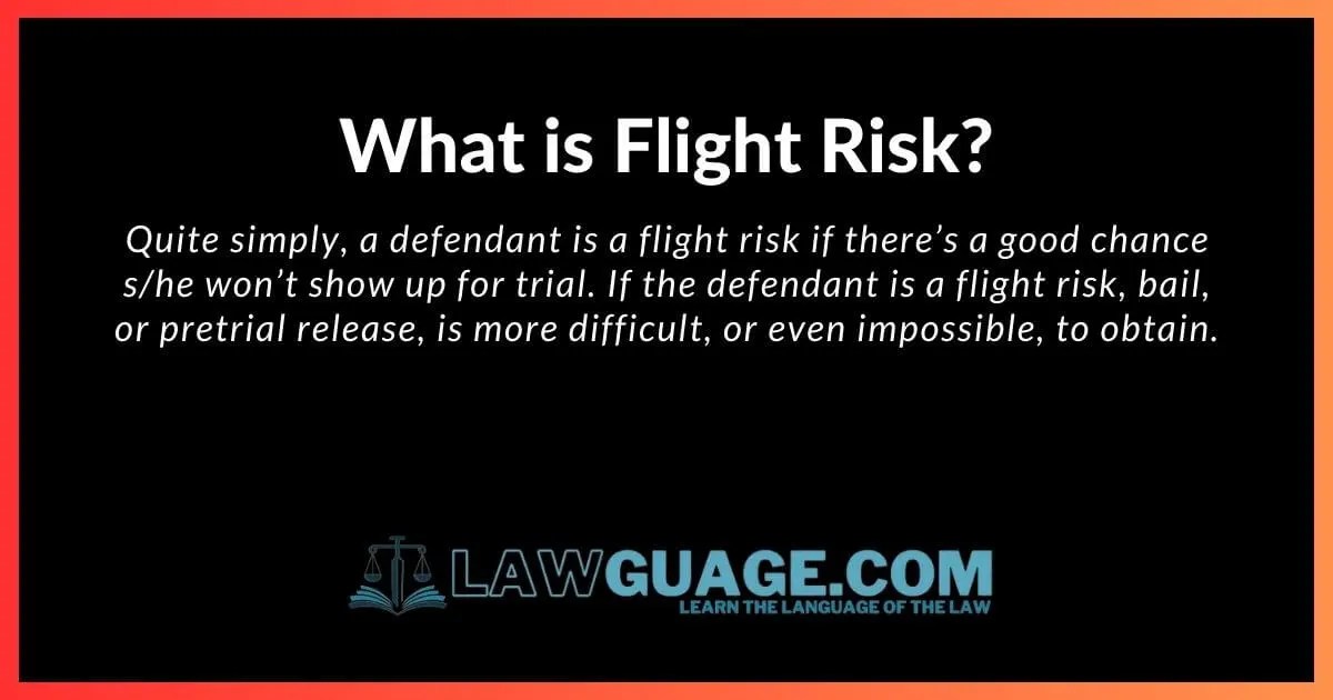 What is the Meaning of ‘Flight Risk’? Lawguage