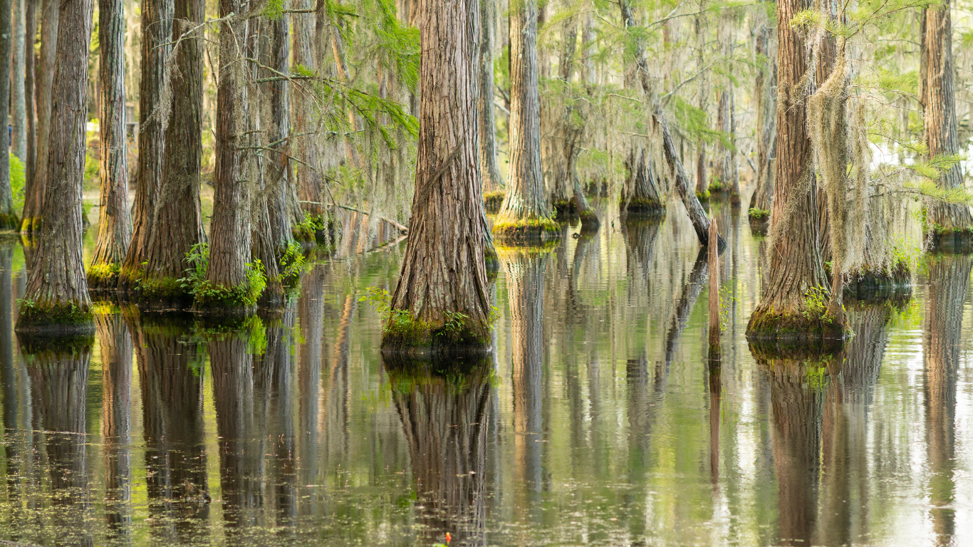 Excitement Builds for New Atchafalaya Basin Master Plan Louisiana