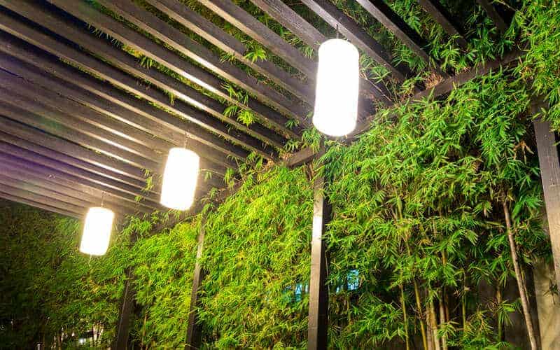 The Best Garden Lights In Australia 2024