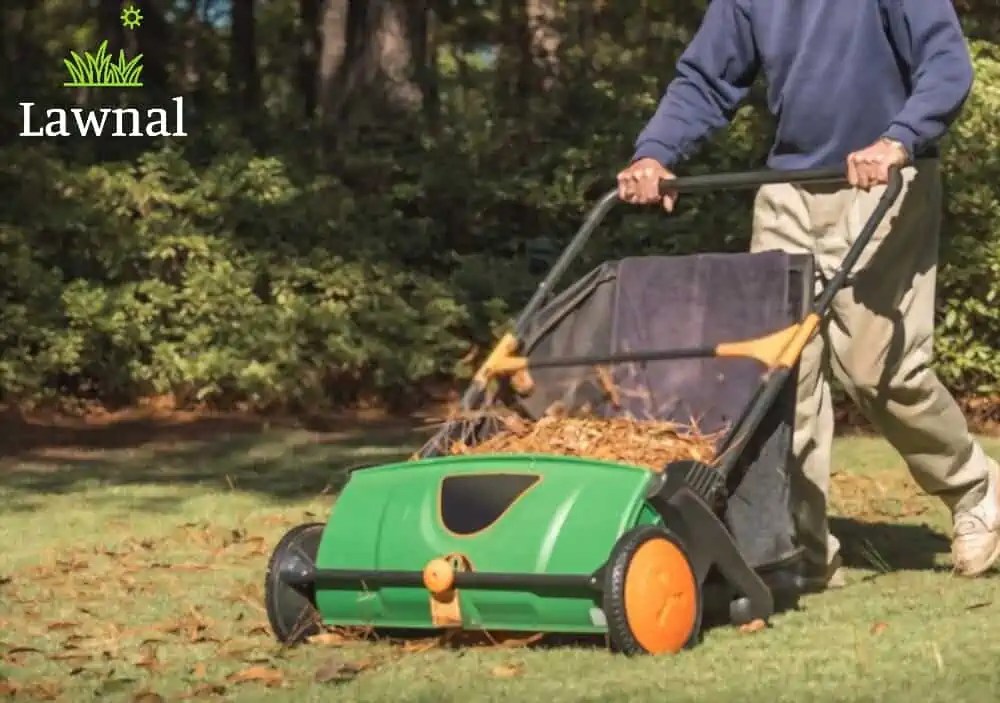 Will A Lawn Sweeper Pick Up Walnuts, Acorns, and Apples? Lawnal