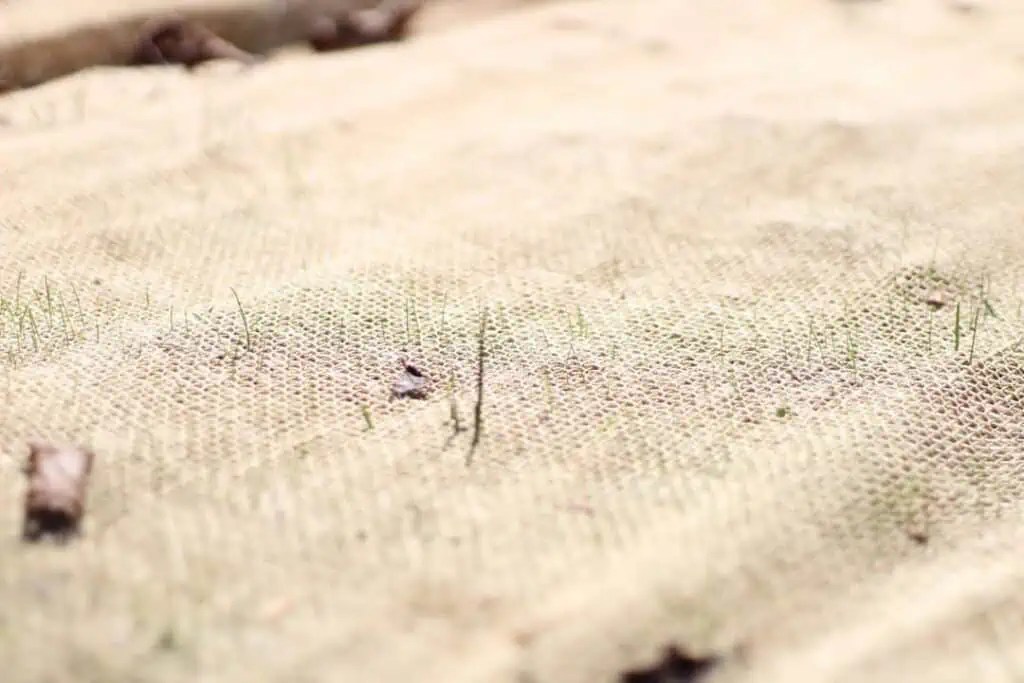 Can You Mow Over Lawn Netting? Straw & Plastic Removal Tips Lawnal