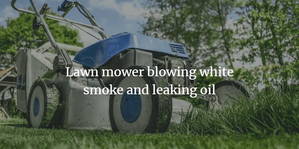 Lawn Mower Spitting Out Oil and White Smoke Easy Fix Lawnal