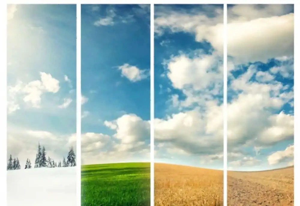 The Best Time to Plant Grass Seed in Nova Scotia 2023 Guide Lawnal