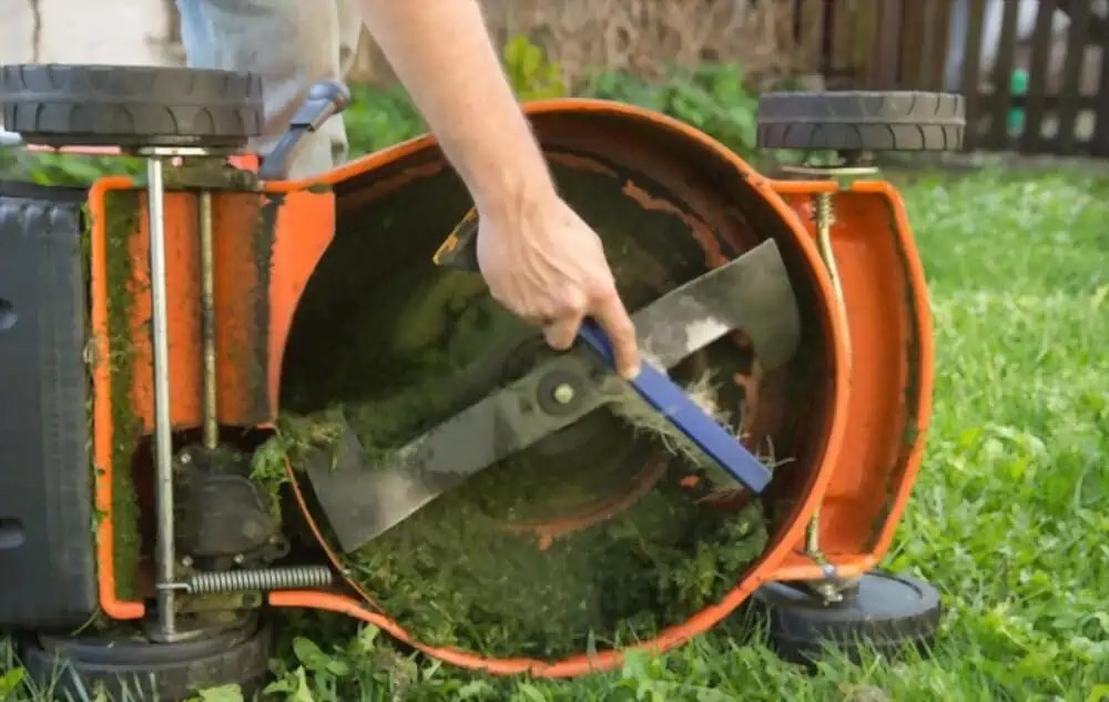 How to Sharpen Lawn Mower Blades without Removing in 6 Steps