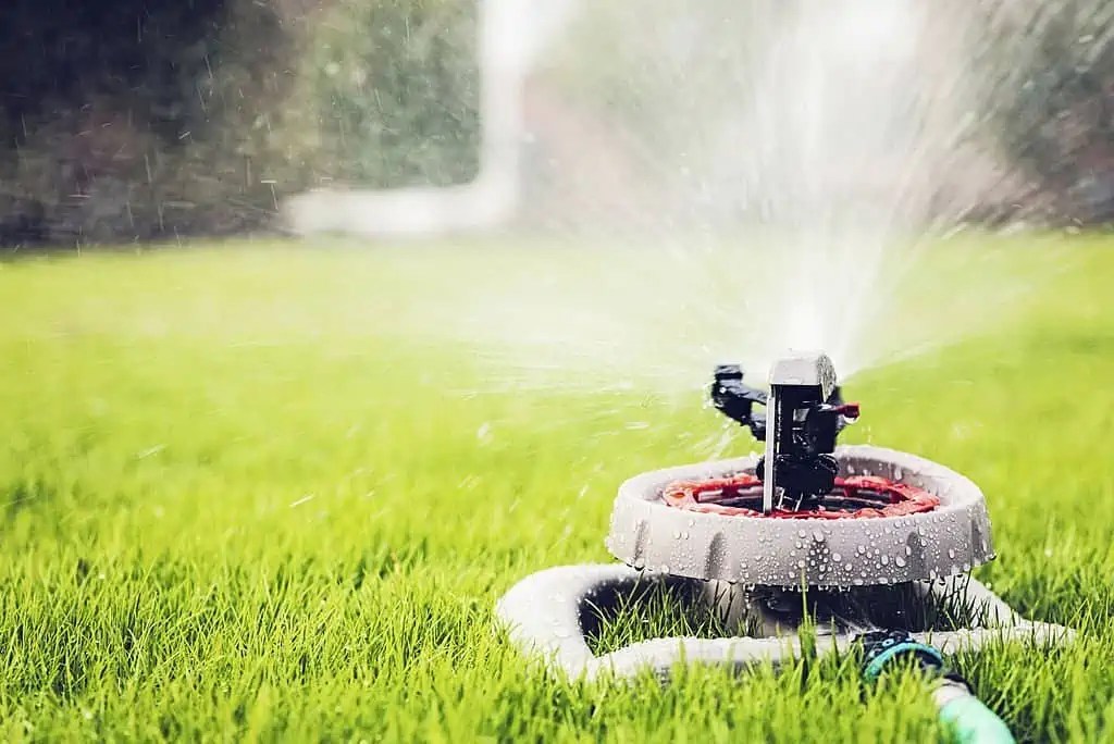 What Temperature is Too Hot to Water Grass in Summer? Lawnal