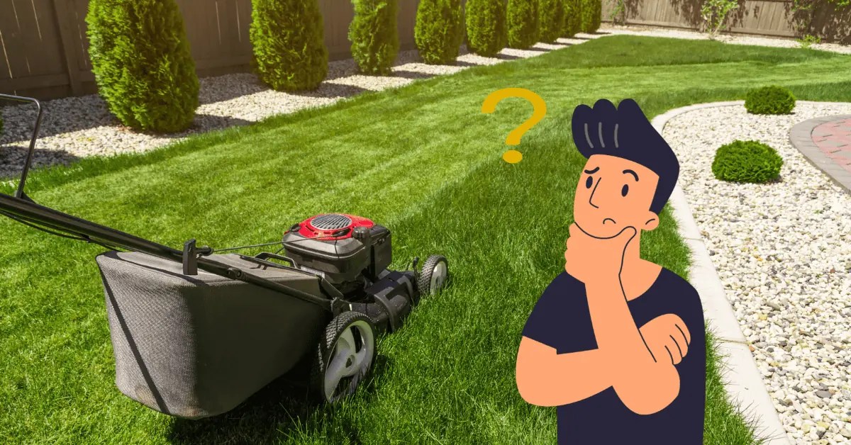 Toro vs. Honda Lawn Mower Which is Better in 2023? Lawnal