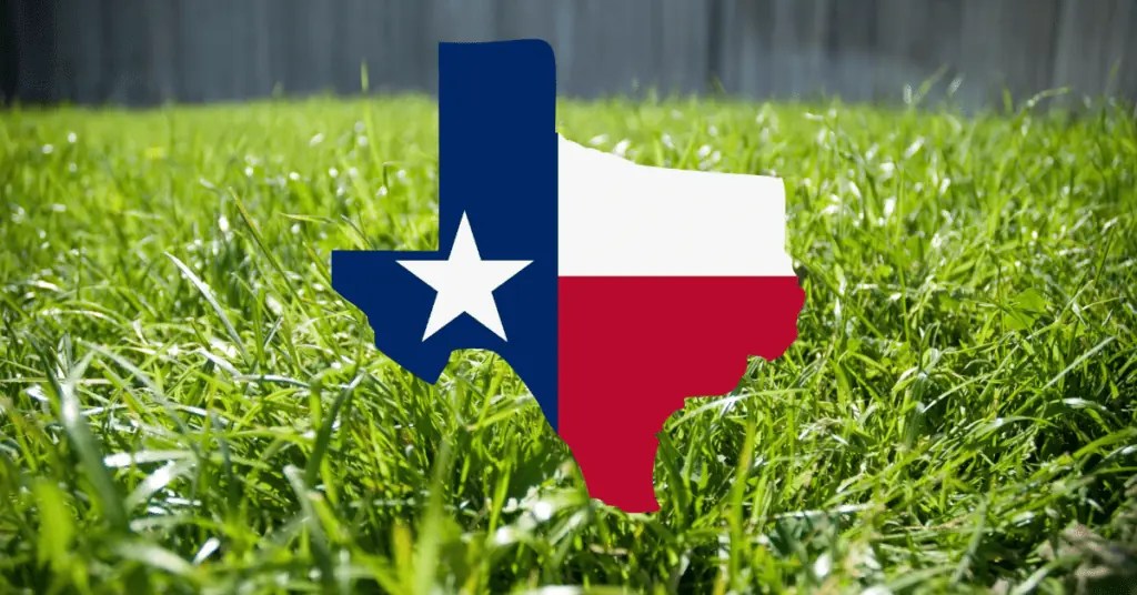 The Best Time to Plant Bermuda Grass in Texas Lawnal