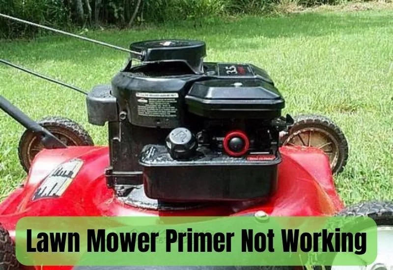 Lawn Mower Primer Not Working Reasons and Solutions LawnAsk