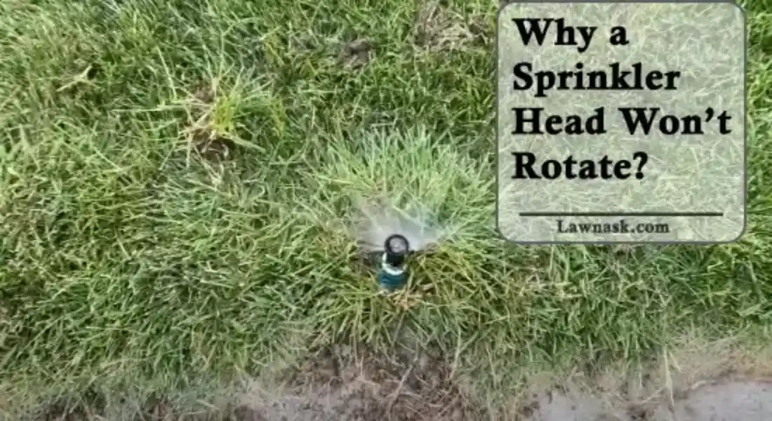 Why a Sprinkler Head Won’t Rotate? (A Perfect Guide) LawnAsk