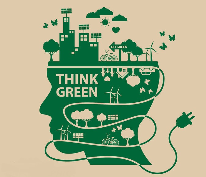 Clean Green Infographic 2 Lawn Block Turf Drive Thru