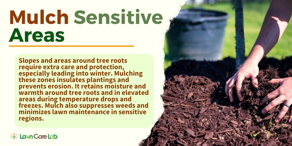 Fall Lawn Prep Discover 6 Vital Tips to Ready Your Turf for Winter