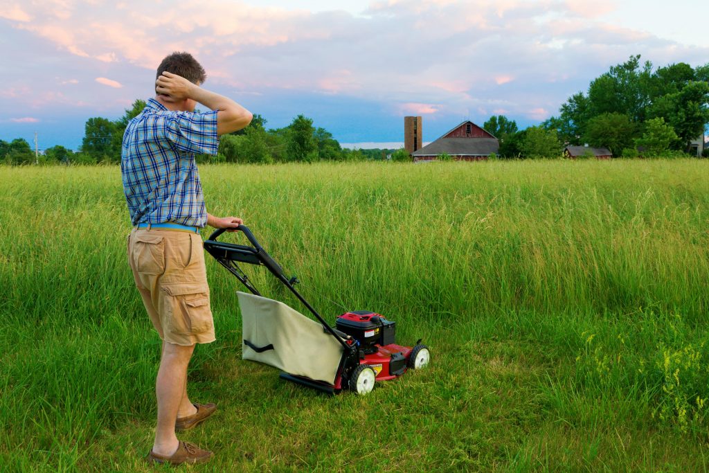 How To Cut Long Grass With A Lawnmower/Other Tools