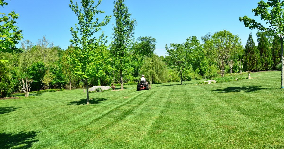 Lawn Mowing Patterns Techniques, Tips and Tricks Lawn Chick