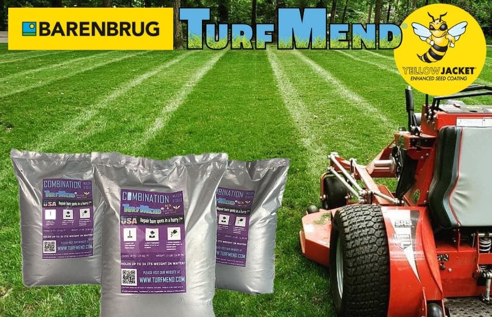 Lawn Bare Spot Repair Lawn Crack