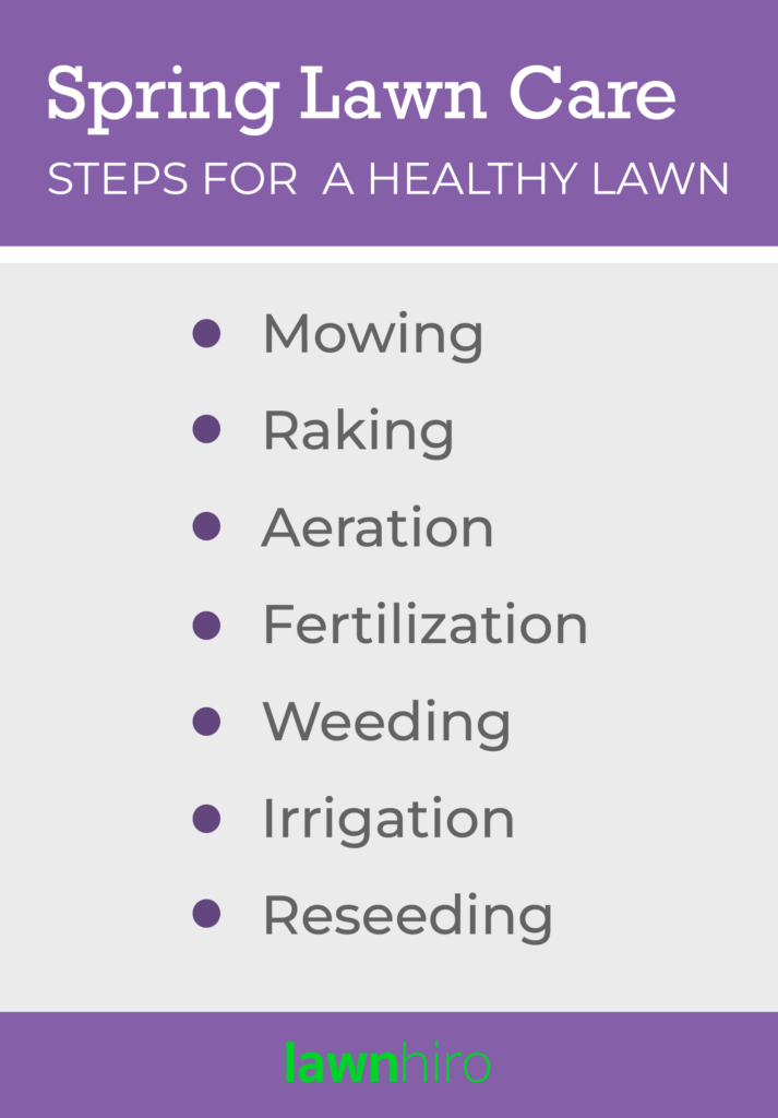 Spring Lawn Care Steps for a Healthy Lawn Lawnhiro