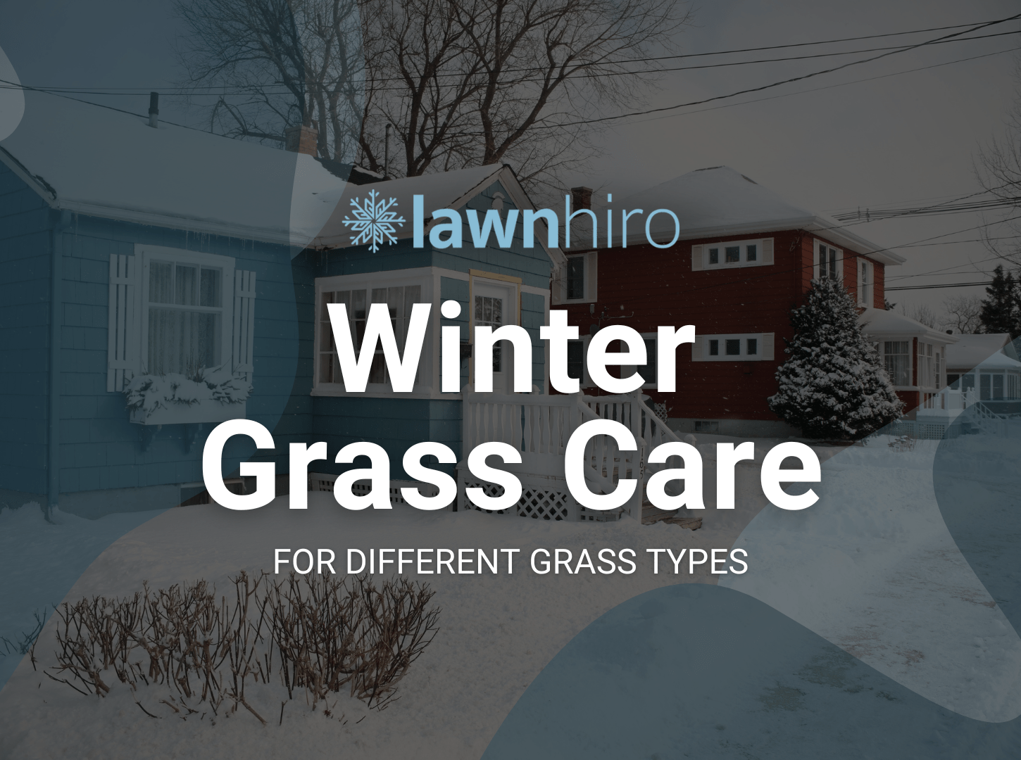 Winter Grass Care for Different Grass Types Lawnhiro