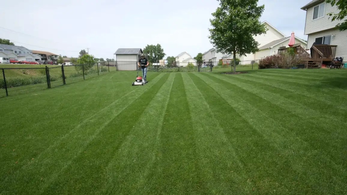 Why is my Mower Blade Leaving Strips? Is There Any Actual Solution