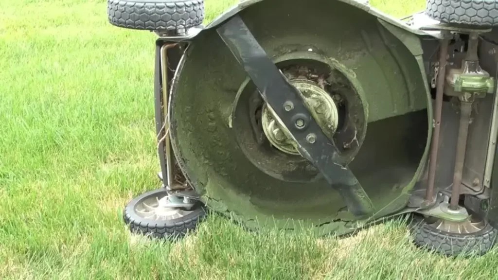 What is the Correct Blade Position On 2 Blade Mower? Lawn Inside