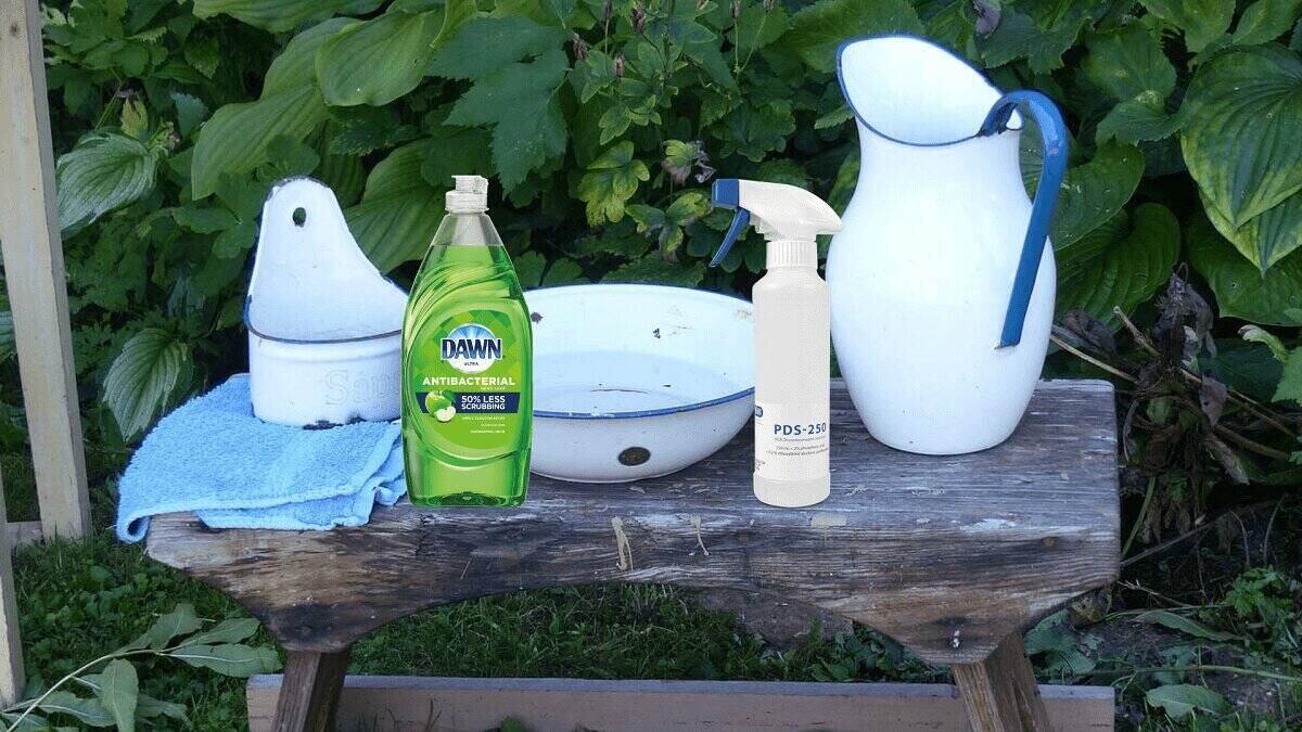 Dish Soap Kill Moss at Arlene Jackson blog