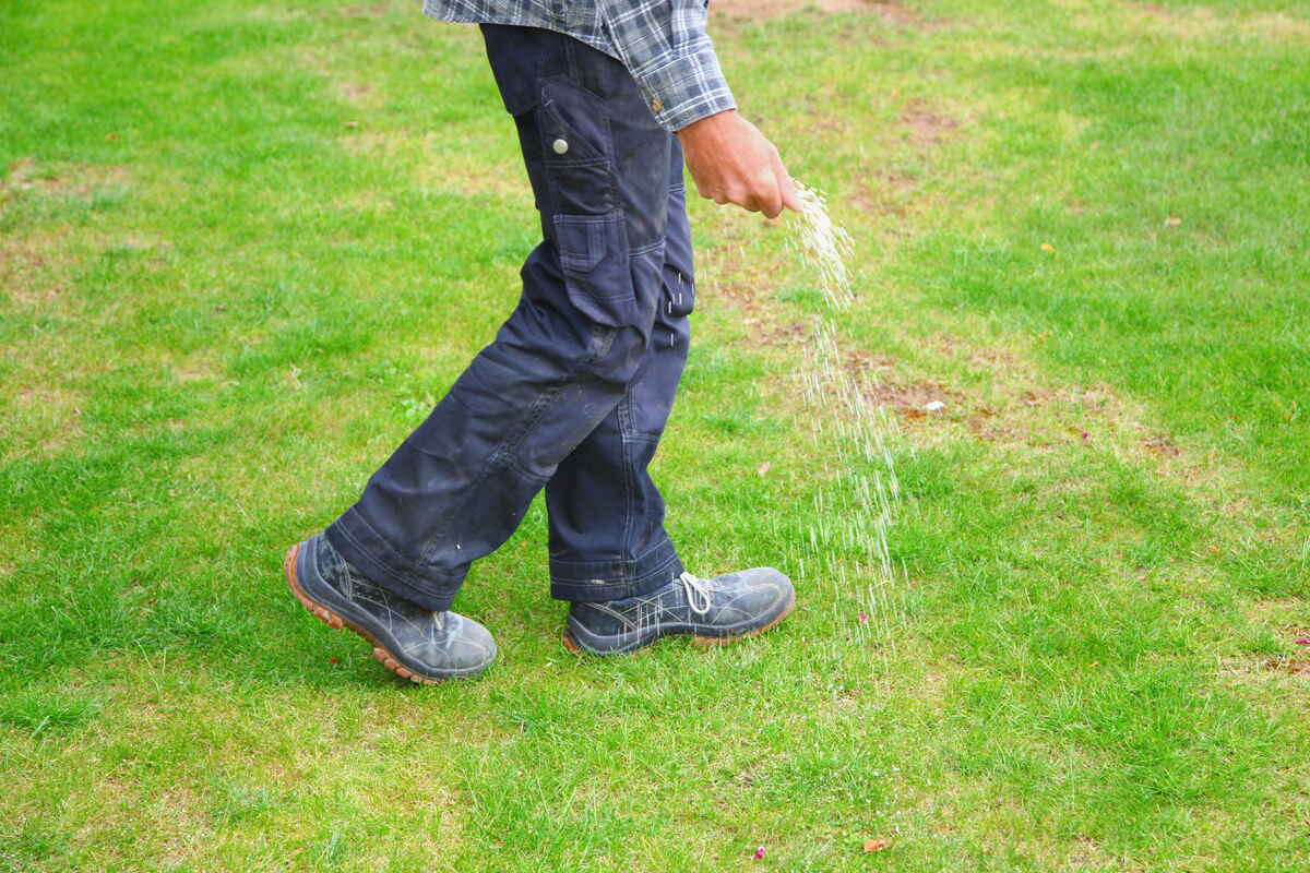 When to Fertilize Your Lawn in Colorado
