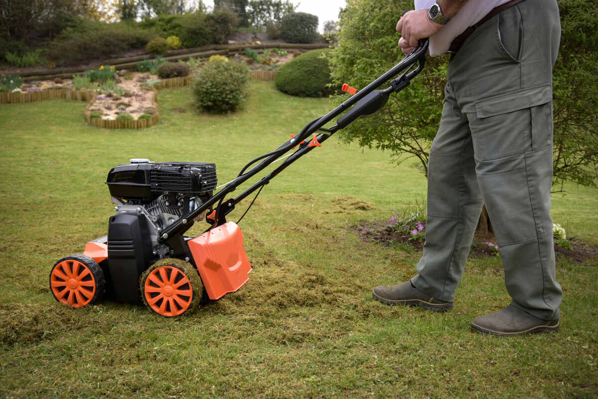 How to Dethatch Your Lawn
