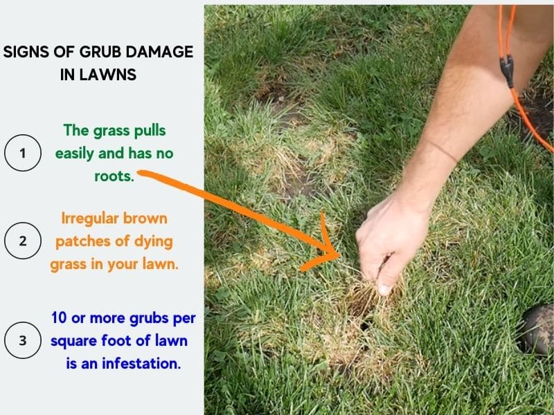 Can You Apply Grub Control In The Rain at Herbert Sauls blog