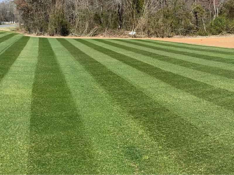 Watering Bermuda Grass Spring, Summer, Fall and Winter Guide Lawn Model