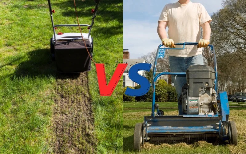 Verticutter vs Dethatcher How Do They Differ?