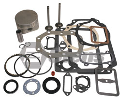 Kohler Overhaul Kit