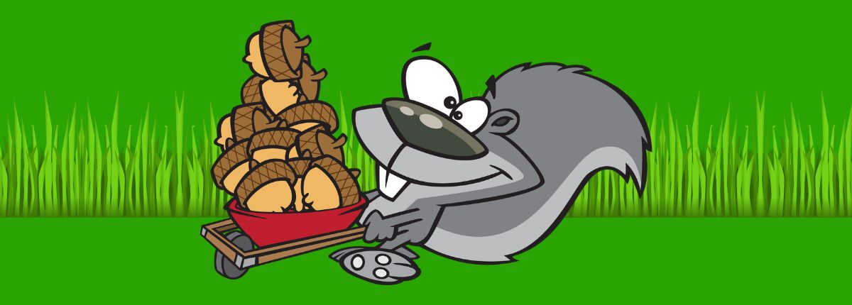 How To Pick Up Acorns From Your Lawn: Easy Methods