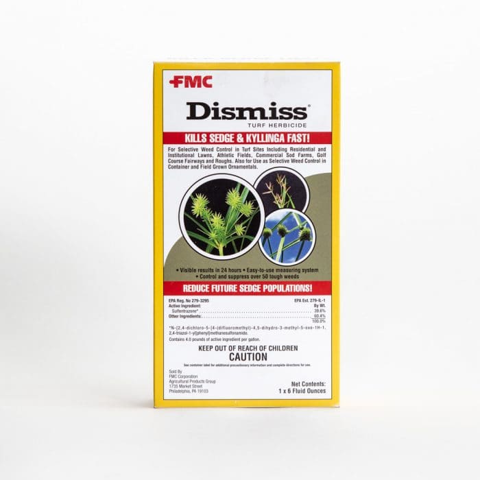 NUTSEDGE A Complete Guide To Nutsedge (Nutgrass Weed) Lawn Phix