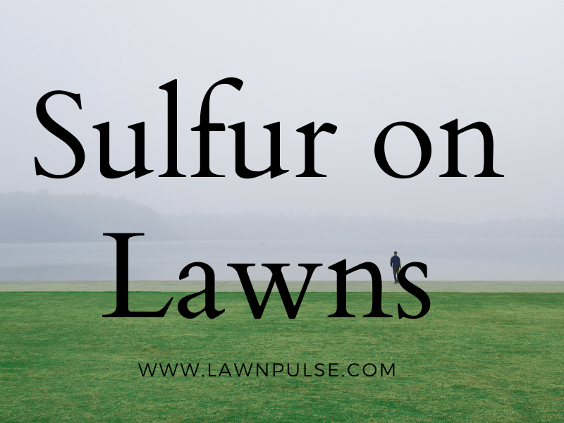 Sulfur on Lawn A Quick Guide