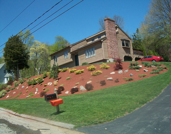 Hillside Planting American Landscape and Lawn Science North Franklin CT