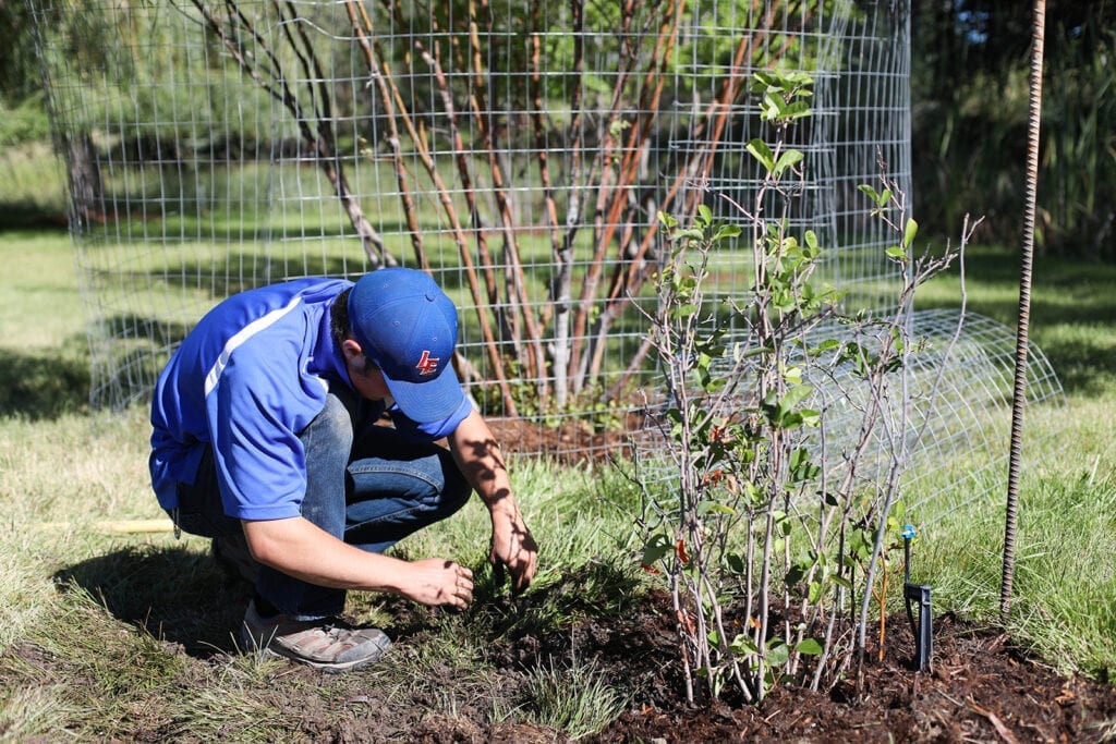 Control, landscaping snow removal Lawns Etc. in Hamilton, MT