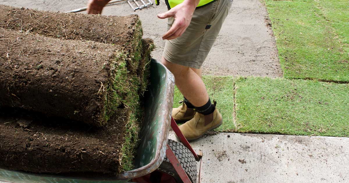 How to Get the Most Out of Your Lawn this Autumn Autumn Lawn Care