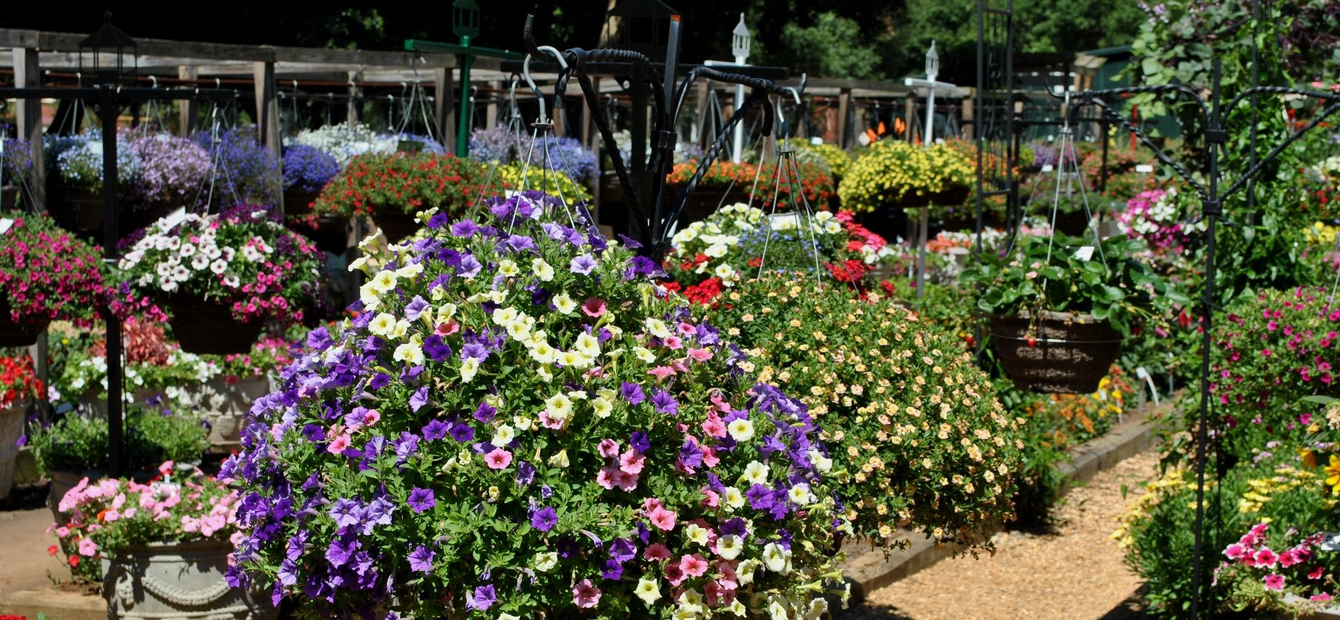 The Top 20 Most Beautiful College Gardens And Arboretums