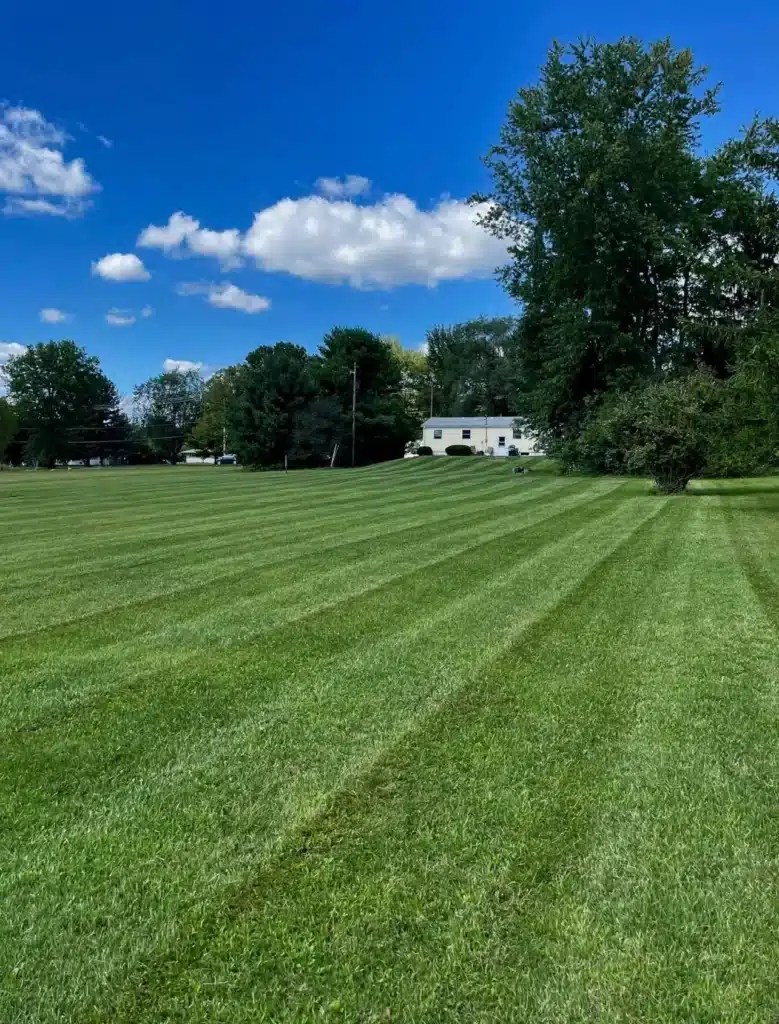 Lawn Studios Landscaping Expert Lawn Care in New Albany