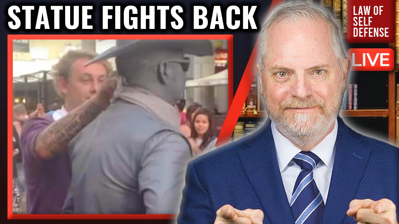 Man Punched by “Statue”! Lawful SelfDefense? Law of Self Defense