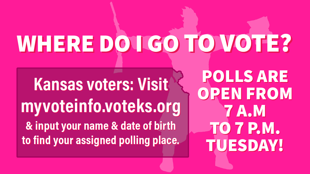 It’s Election Day — here’s the quick info you need at your fingertips The Lawrence Times