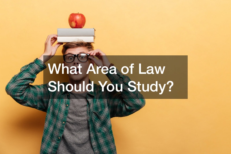 What Area of Law Should You Study? Law School Application Hawaii