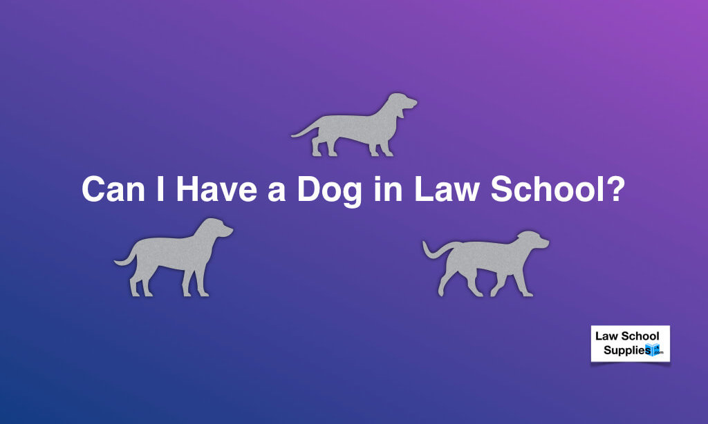 Can I Have a Dog in Law School? Law School Supplies
