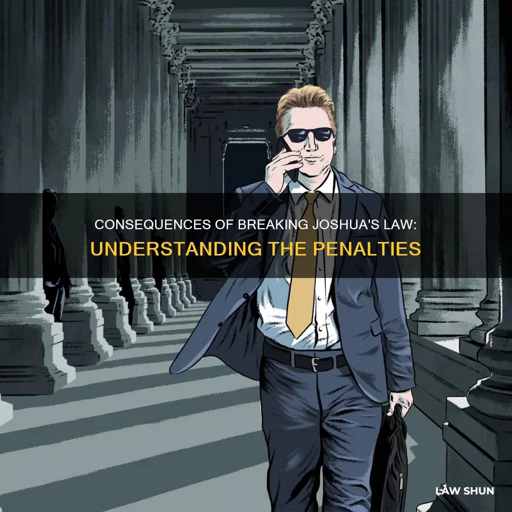 Consequences Of Breaking Joshua's Law Understanding The Penalties