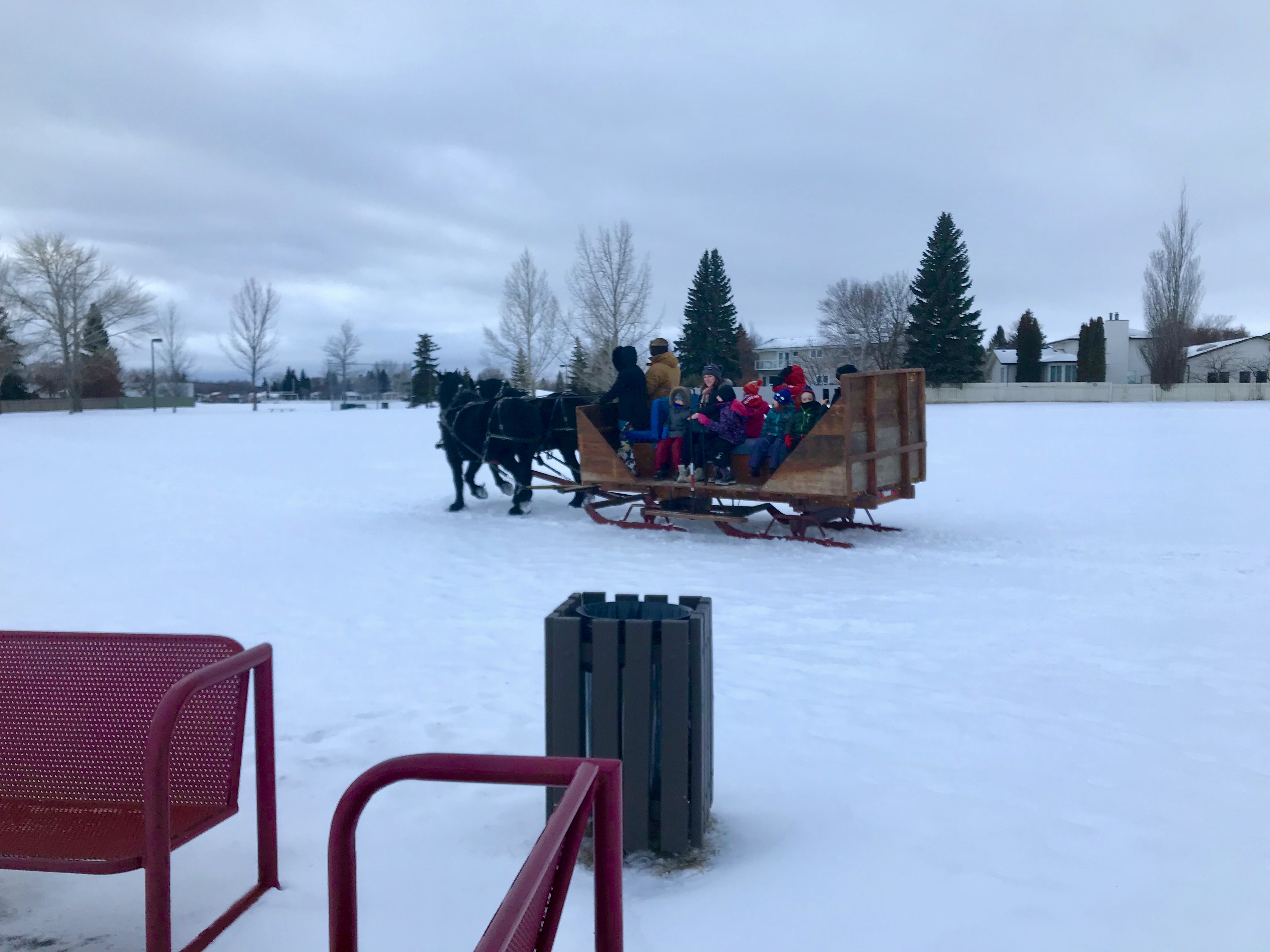 Lawson Heights WinterFest is back! Lawson Heights Community Association