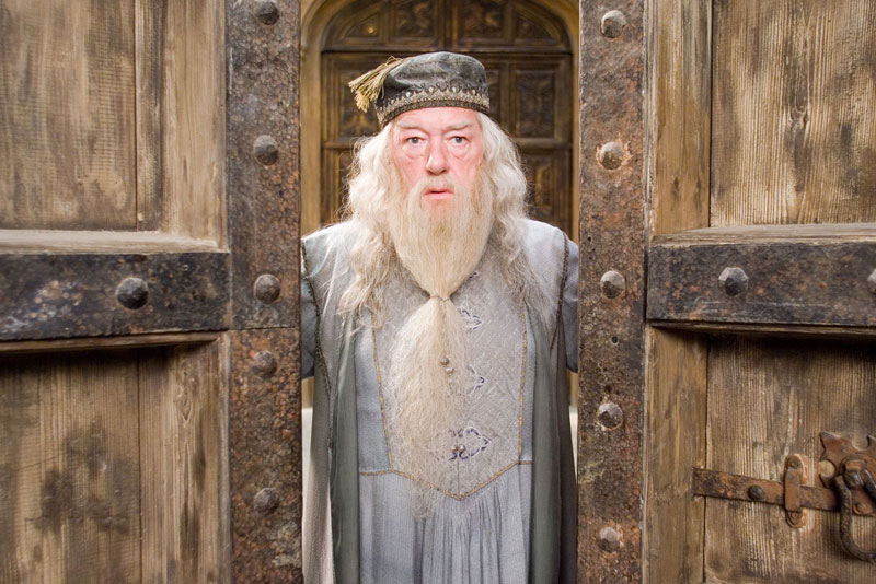 Lessons from Professor Dumbledore Law Offices of Hirji & Chau, LLP