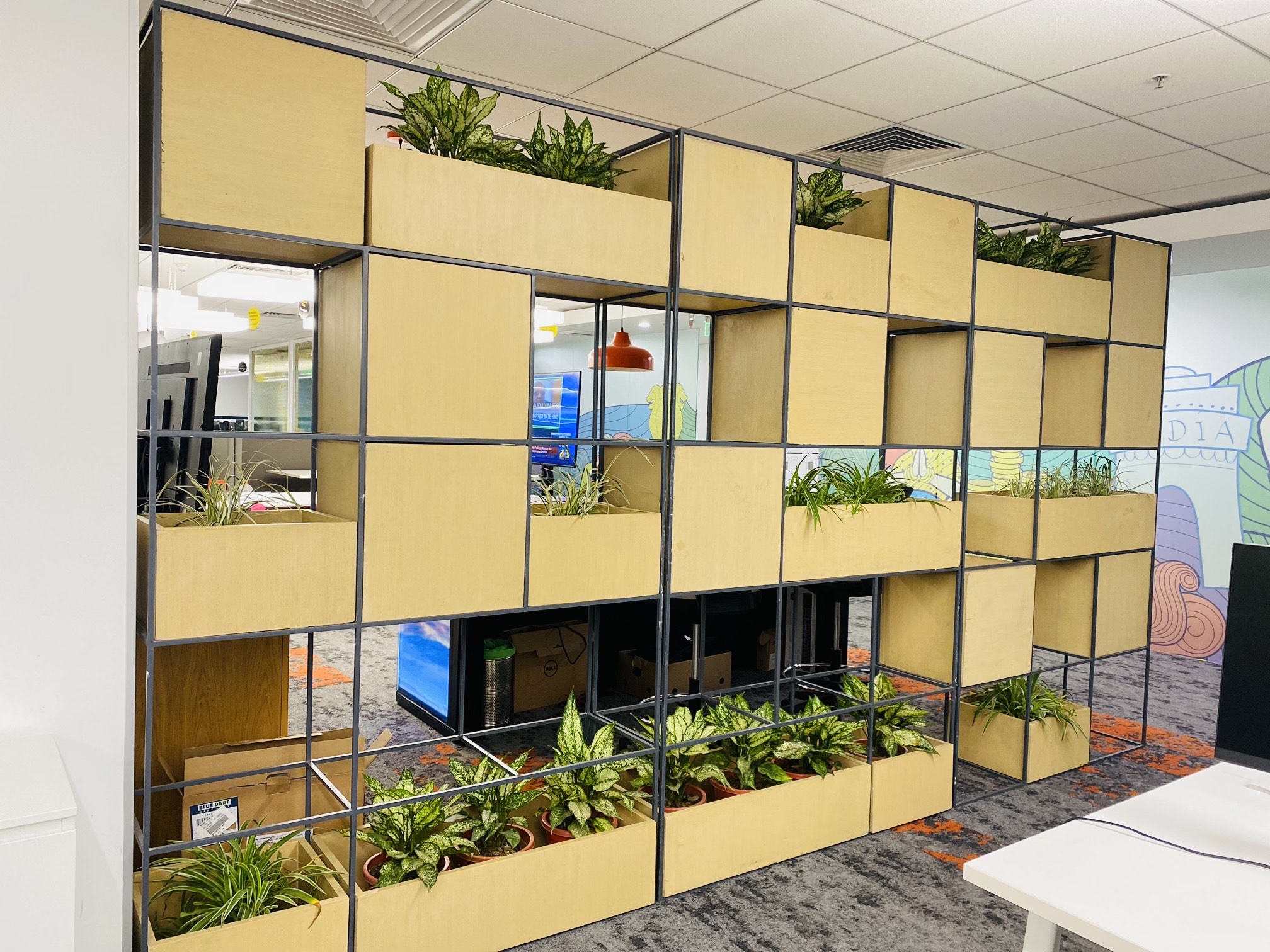 Walkway & Corridor Plants Laxmi Plants