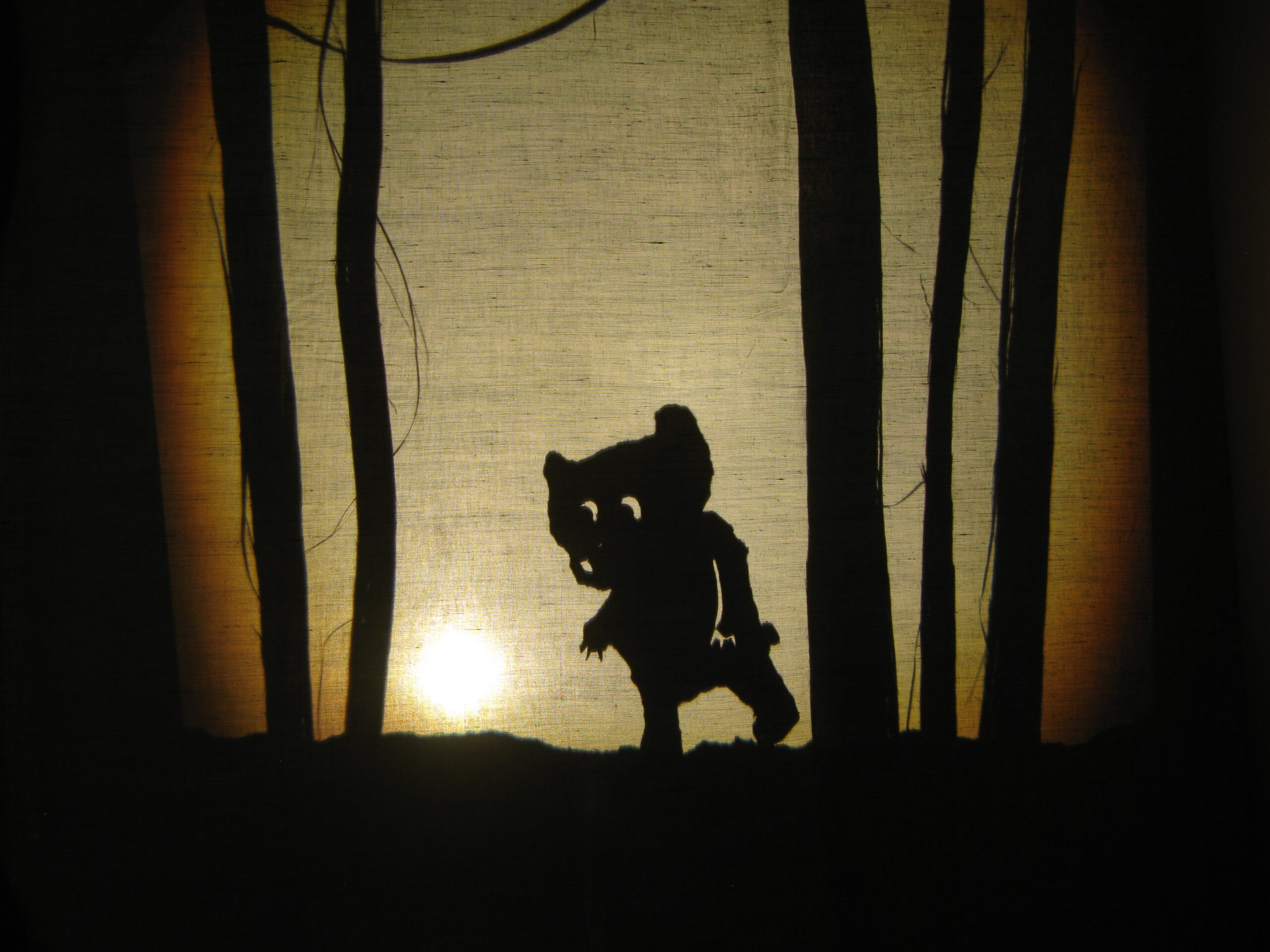 Delavnica Senčne lutke z Andrejem Štularjem Layerjeva hiša