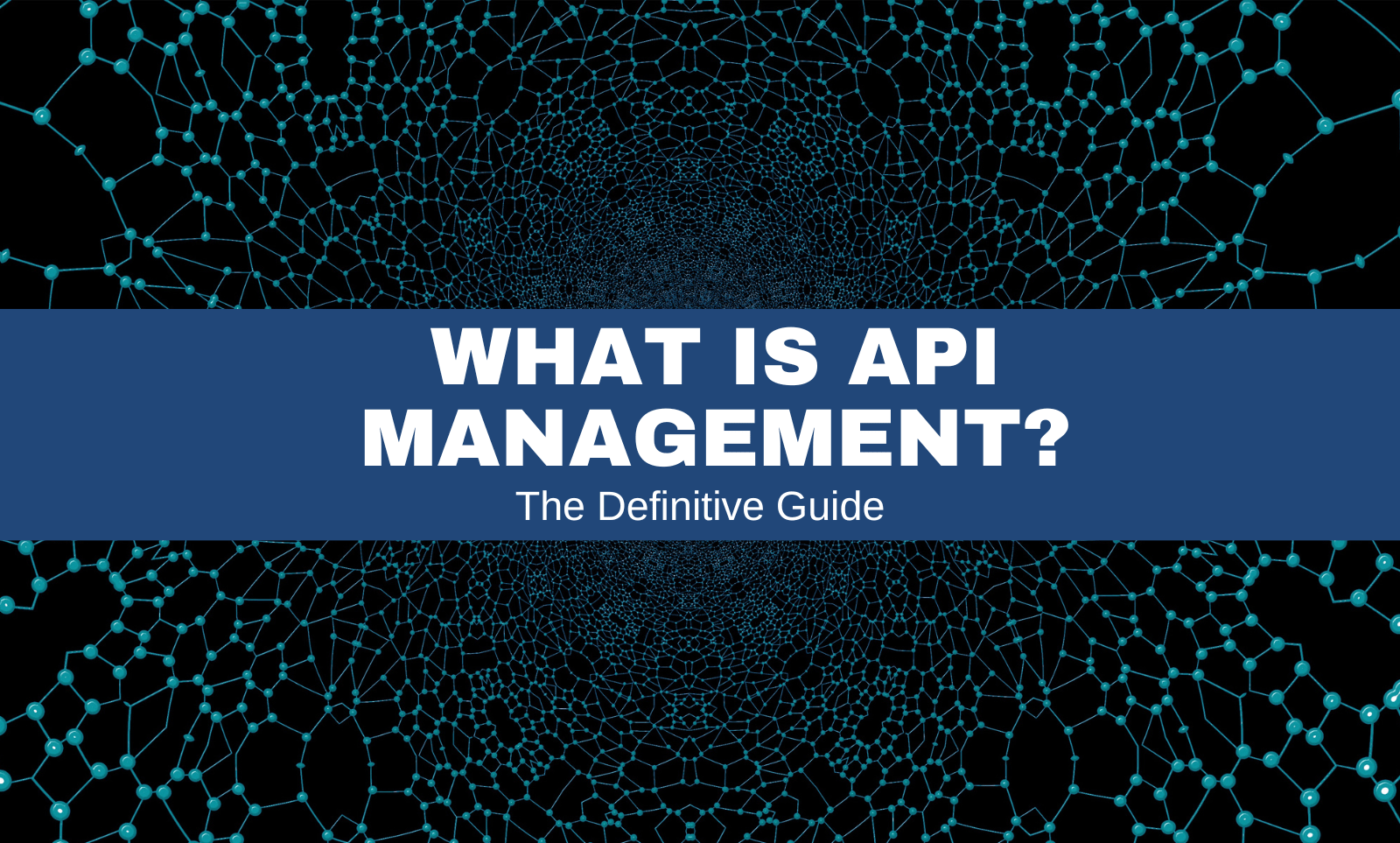 What is API Management? The Definitive Guide Layer 7 Tech